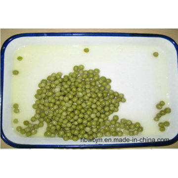 Conserves de pois verts en saumure